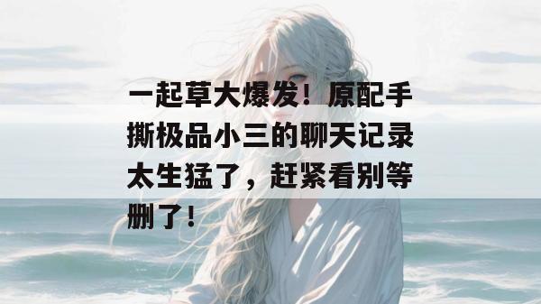 一起草大爆发！原配手撕极品小三的聊天记录太生猛了，赶紧看别等删了！